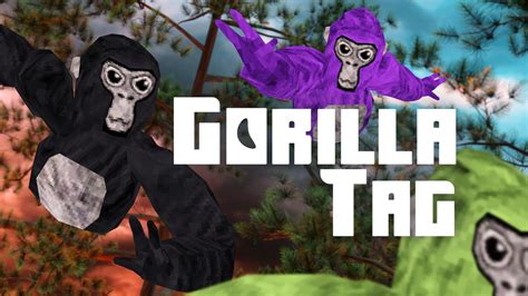After three years of virtual tag, our adorable primate has swung their way out of your headset and into the real world. The Gorilla Tag Monke plush comes with a set of wearable Cosmetics straight from Gorilla Tag, …